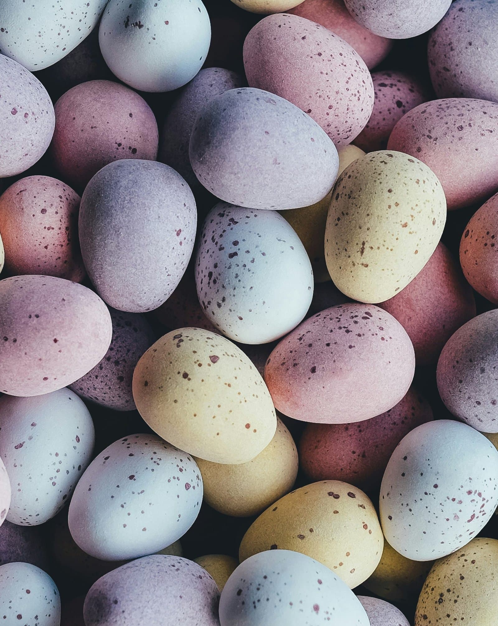 How to Safely Enjoy Easter Basket Gifts with Pets