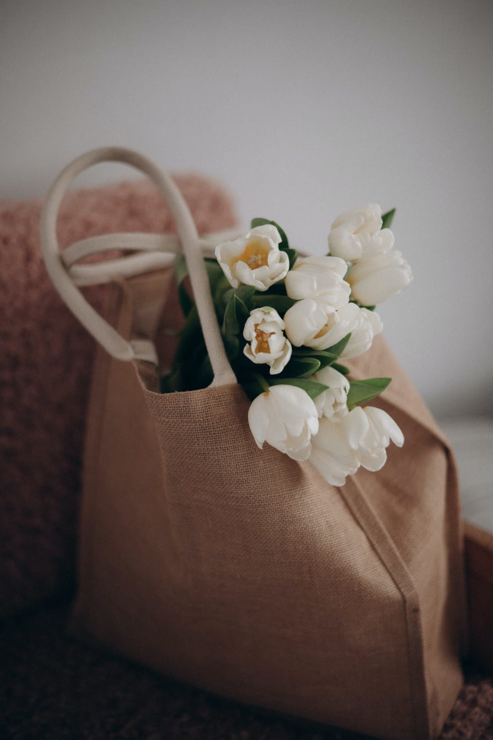 Where to Find Unique Easter Basket Items for Pets