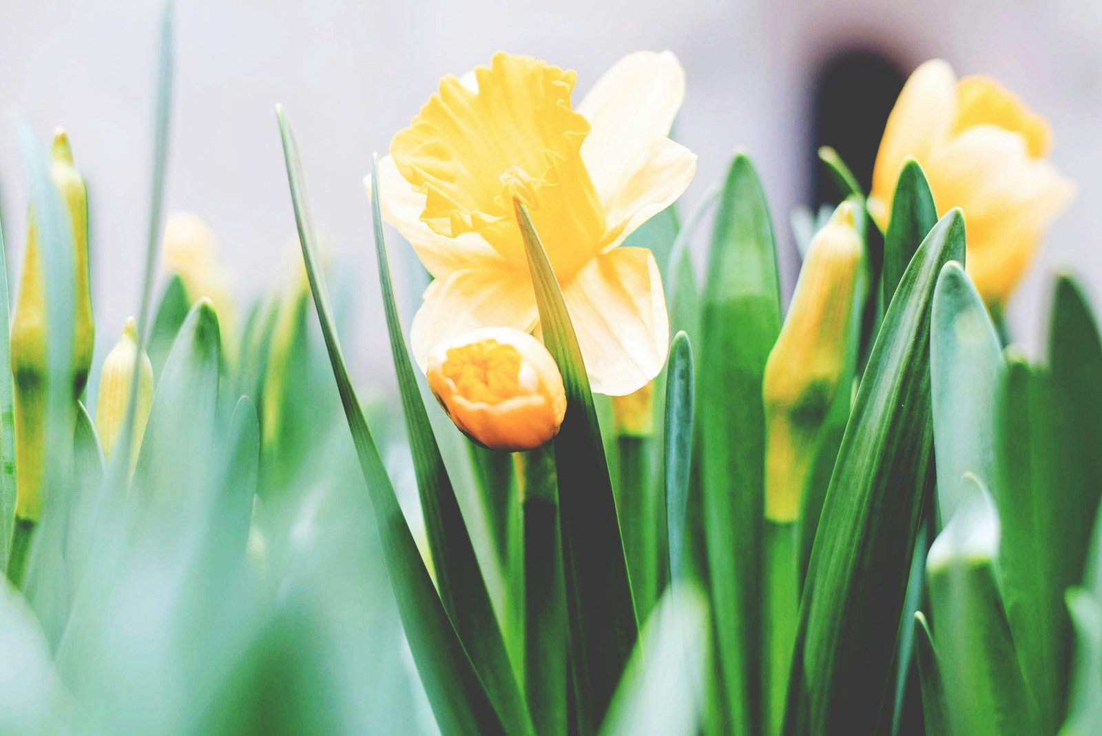 Incorporating Personal Interests and Hobbies into Easter Basket Themes