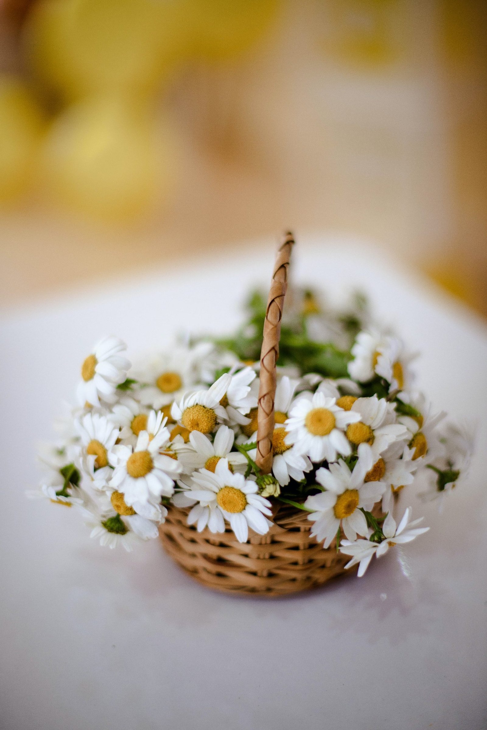 Top Stores and Websites for Personalized Easter Baskets