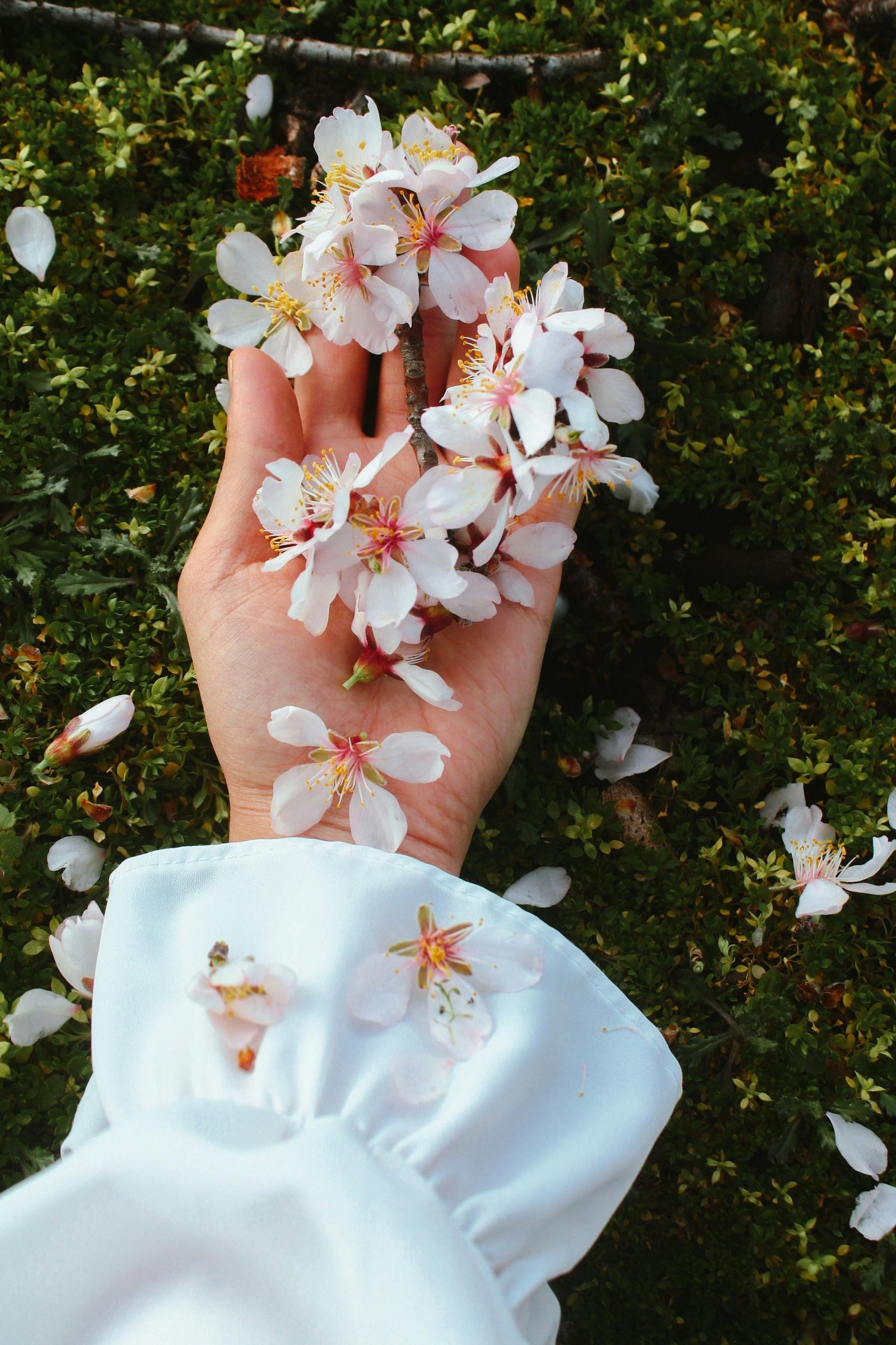 Where to Find Inspiration for Personalized Easter Basket Themes